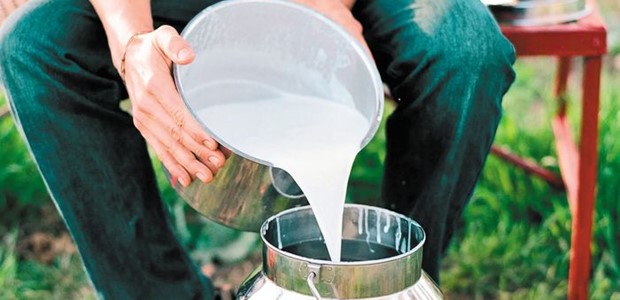 Μειώθηκε η παραγωγή του αιγοπρόβειου γάλακτος
